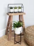 The Little Botanical Succulent House Plant & Marble Planter