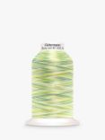 Gütermann creativ Bulky-Lock 80 Sewing Thread, 1000m, Green Multi