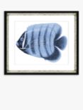 Blue Fish 3 - Framed Print & Mount, 36 x 46cm, Blue