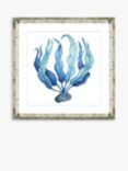 Blue Seaweed 1 - Framed Print & Mount, 46 x 46cm, Blue