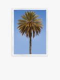 Blue Sky Palm 1 - Framed Print & Mount, 66 x 46cm, Blue/Green