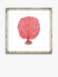 Red Coral 3 - Framed Print & Mount, 46 x 46cm, Red