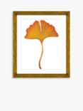 Ginkgo Leaf 3 - Framed Print & Mount, 56 x 46cm, Orange