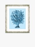 Blue Coral 2 - Framed Print & Mount, 46 x 36cm, Blue