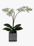 John Lewis Artificial Orchid in Ceramic Planter