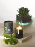 Aery Green Black Oak Scented Candle, 200g