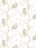 Harlequin Little Owls Wallpaper, HLTF112628