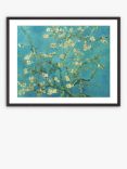 Vincent Van Gogh - 'Almond Blossoms' Framed Print & Mount, 62 x 82cm, Blue