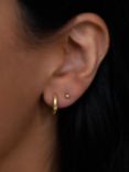 Leah Alexandra Margo Medium Hoop Earrings, Gold