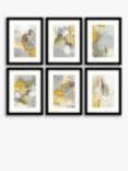 Natasha Barnes - 'Ochre Dreams' Framed Print & Mount, Set of 6, 43.5 x 33.5cm, Yellow