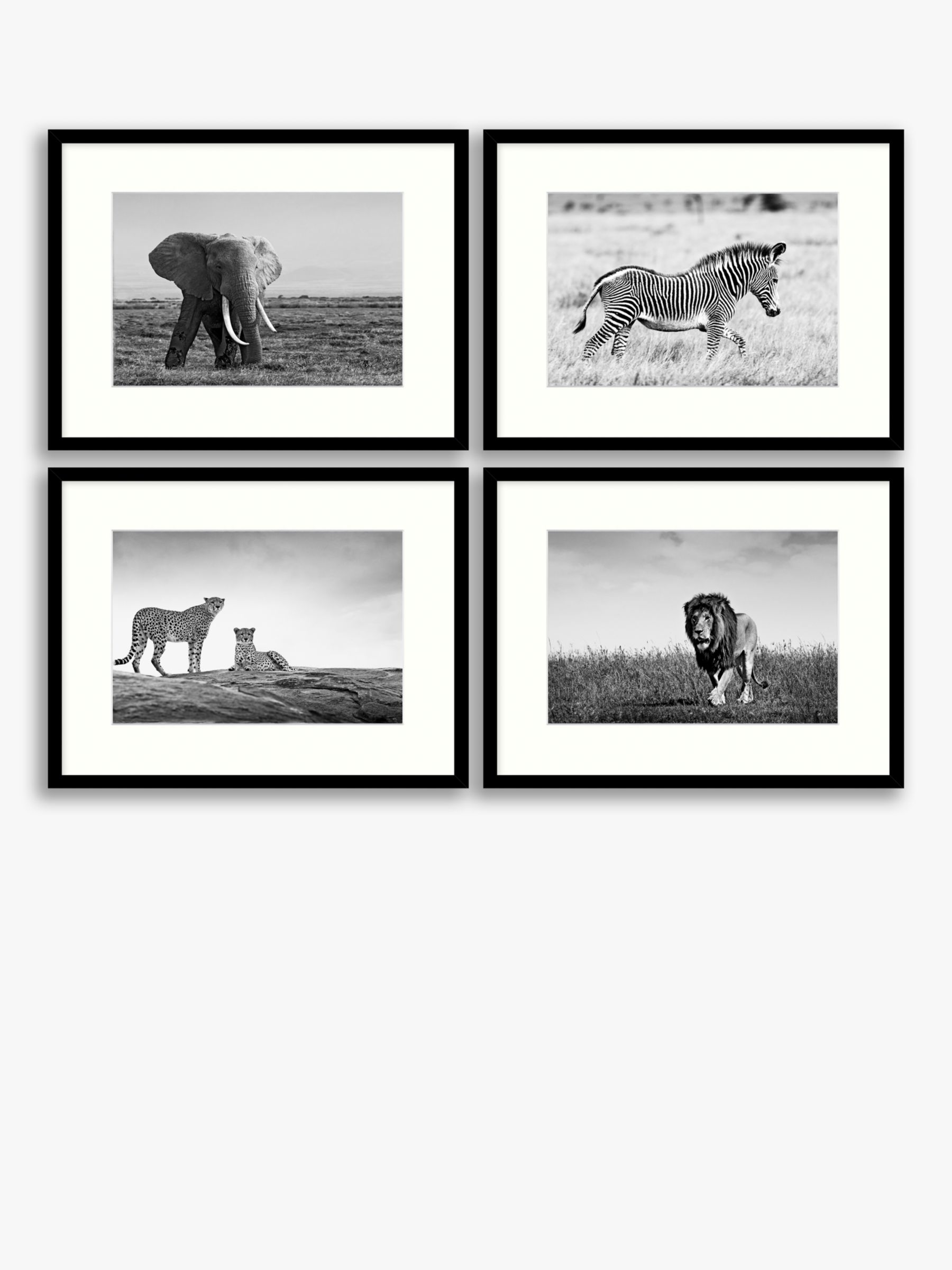 On The Plains - African Animals Framed Print & Mount, Set of 4, 32 x 42cm,  Black/White