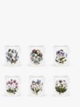Portmeirion Botanic Garden Flower Breakfast Mugs, Set of 6, 200ml, White/Multi