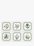 Portmeirion Botanic Garden Cork-Backed Placemats & Coasters, Set of 6, White/Multi