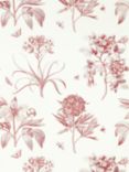 Sanderson Etchings & Roses Wallpaper, DOSW217054