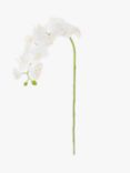 Floralsilk Artificial Phalaenopsis Orchid, White