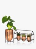 The Little Botanical Copper Plant & Succulent Trio