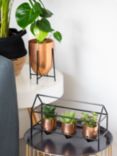 The Little Botanical Copper Plant & Succulent Trio