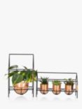 The Little Botanical Copper House Plant Gang