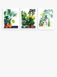 John Lewis ANYDAY Marta Chojnacka 'Botanical' Unframed Print, Set of 3, 40 x 30cm, Green