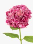 Floralsilk Artificial French Hydrangea