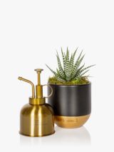 The Little Botanical Gold Mister & Plant Set