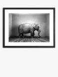'Elephant In The Room' Framed Print & Mount, 65.5 x 85.5cm, Black/White