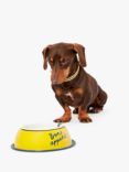 Joules Bone Appetite Dog Bowl