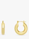 Estella Bartlett The Edit Mini Chunky Hoop Earrings