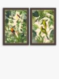 Andrea Haase - Tropical Birds Framed Prints, Set of 2, 67 x 47cm, Green/Multi