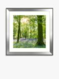 Mike Shepherd - 'Sunlight Through Bluebell Woods' Framed Print & Mount, 80.5 x 80.5cm, Green