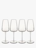 Luigi Bormioli Talismano Prosecco Glass, Set of 4, 400ml, Clear