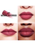 DIOR Addict Lip Tint, 491 Natural Rosewood
