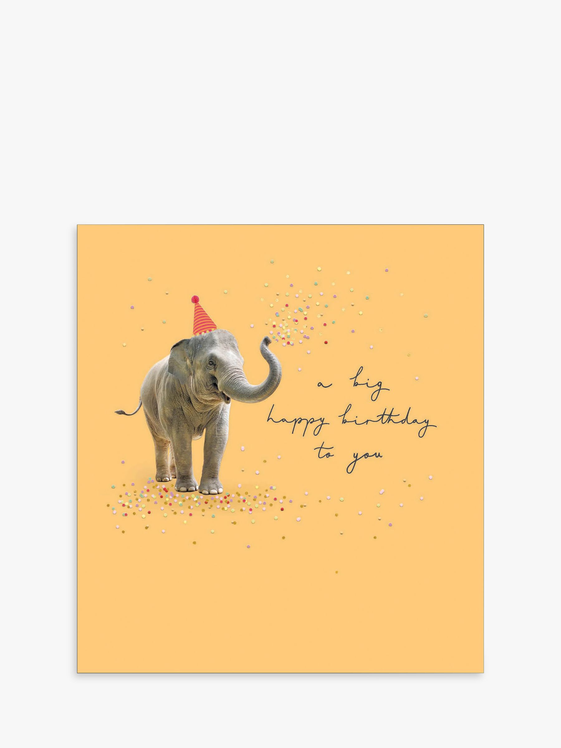 The Proper Mail Company Baby Elephant Birthday Card