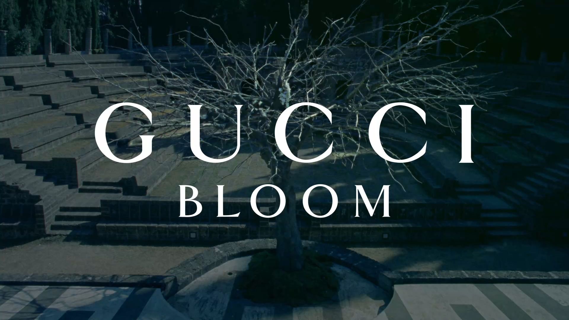 Gucci Bloom video