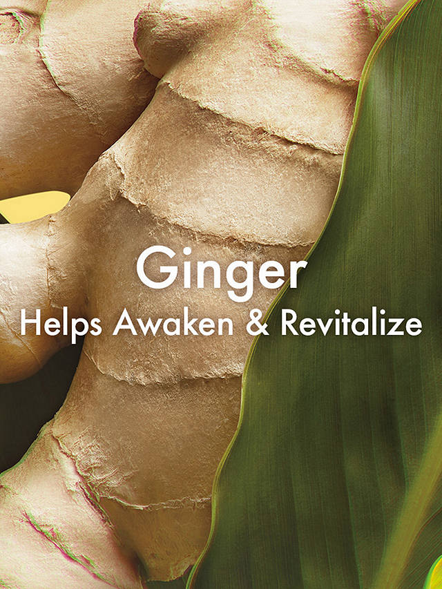 Origins Ginger Essence™ Sensuous Skin Scent, 100ml 2