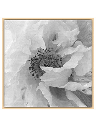Perry King - Vintage Poppy Framed Canvas