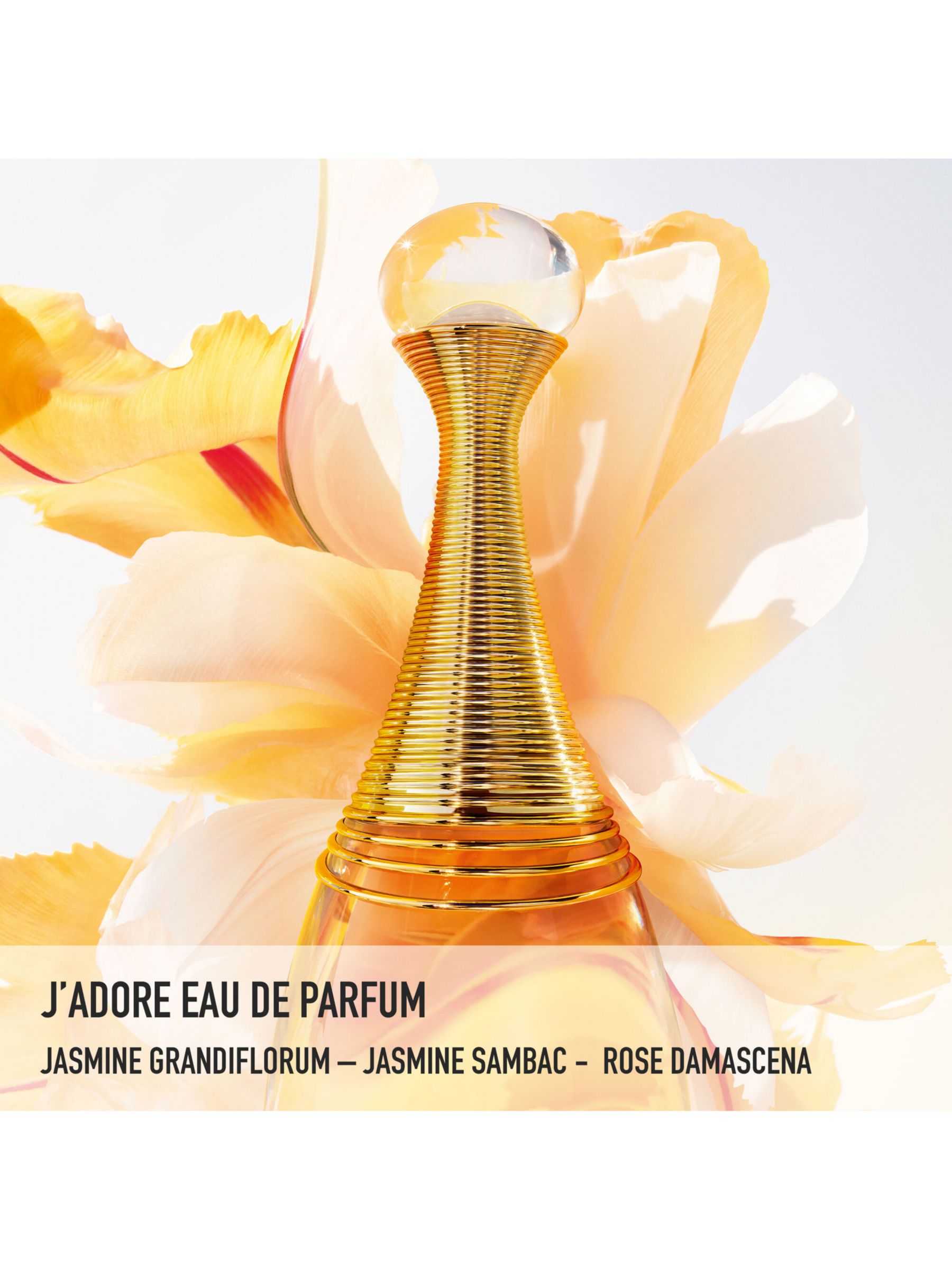 DIOR J'adore Eau De Parfum Spray, 50ml at John Lewis & Partners