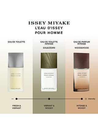 Issey Miyake L'Eau d'Issey Pour Homme Eau de Toilette, 75ml 4