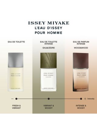 Issey Miyake L'Eau d'Issey Pour Homme Eau de Toilette, 125ml 4