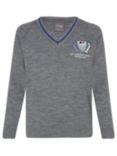 The South Wolds Academy & Sixth Form Unisex Jumper, Grey