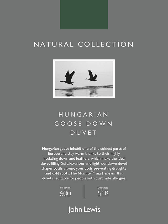 John Lewis Natural Collection Hungarian Goose Down Duvet, 13.5 Tog, Single