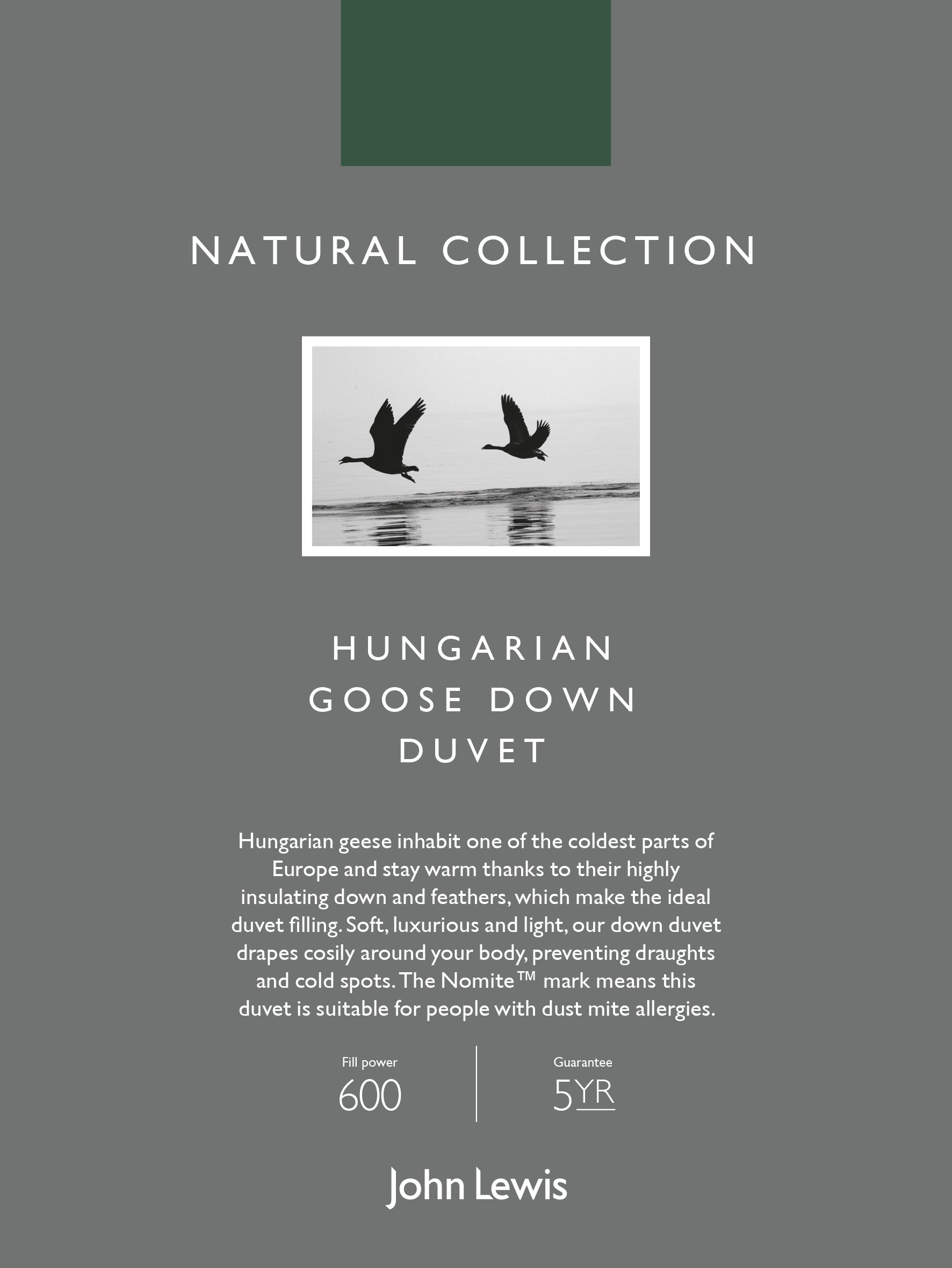 John Lewis Partners Natural Collection Hungarian Goose Down