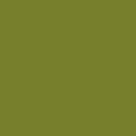 The Little Greene Paint Company Absolute Matt Emulsion Greens & Bright Yellows Tester Pot