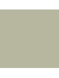 The Little Greene Paint Company Intelligent Matt Emulsion, Pale Greens, Tracery II (78)