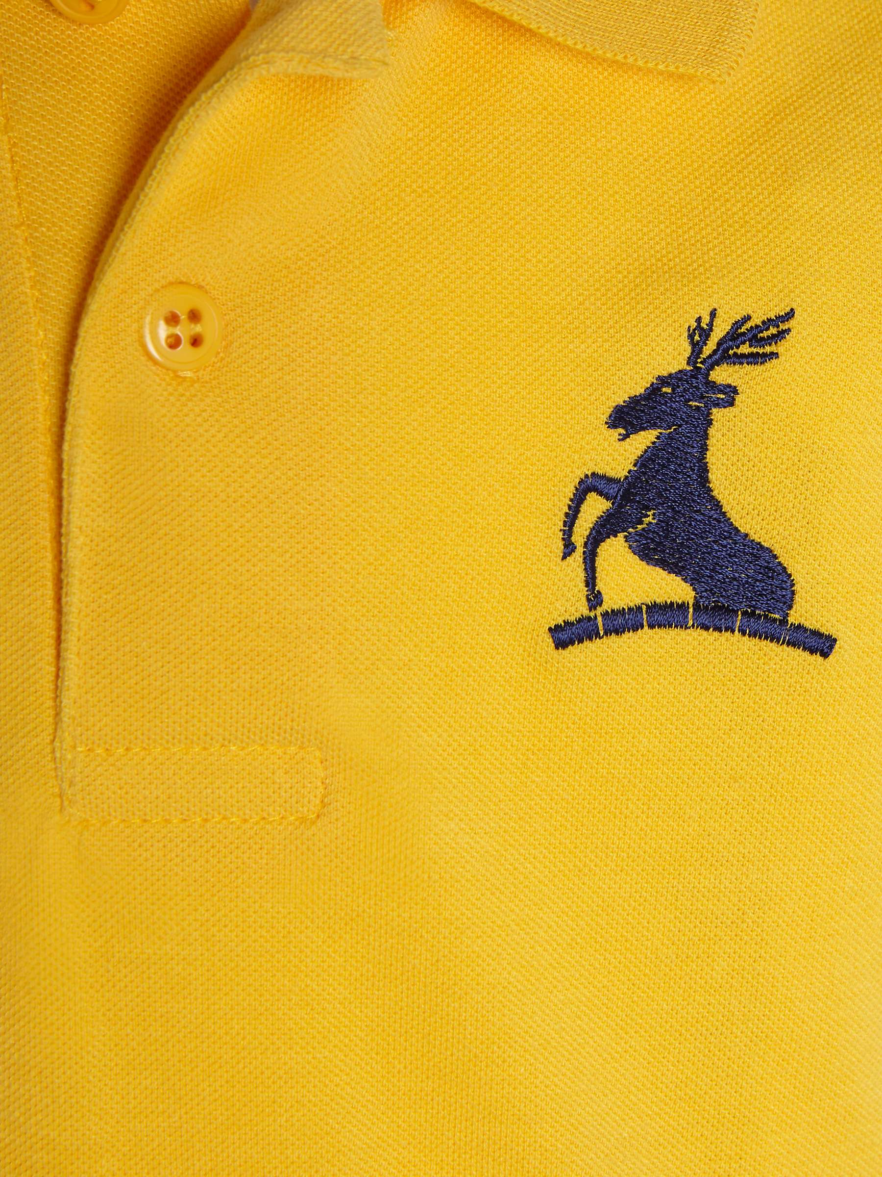 Buy Colfe's School Polo Shirt, Amber Online at johnlewis.com