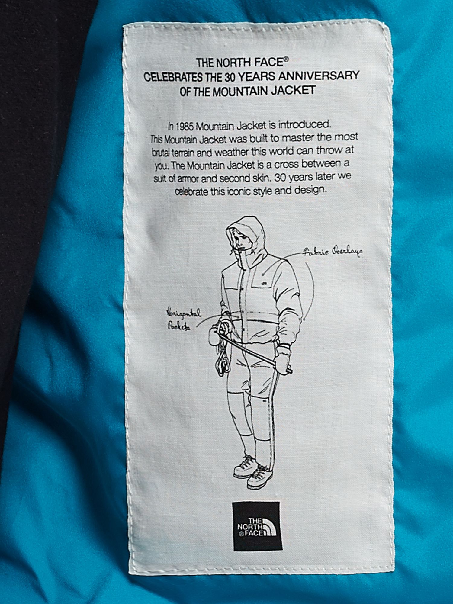 the north face 30th anniversary mountain jacket