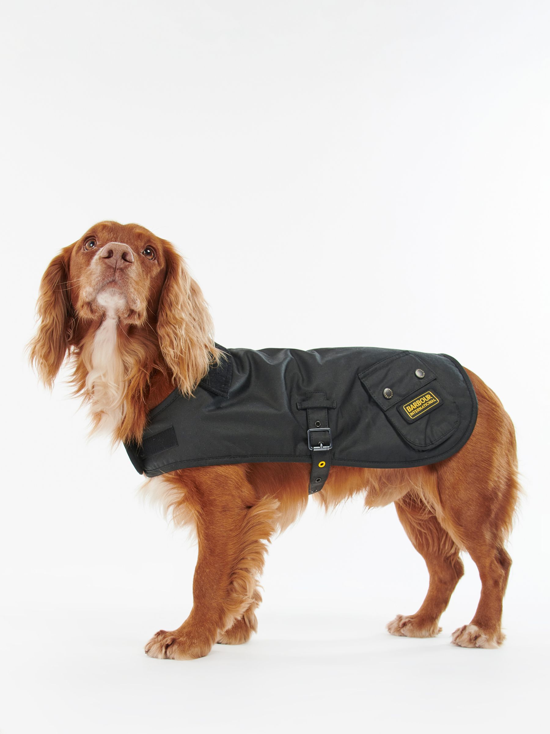 barbour dog raincoat