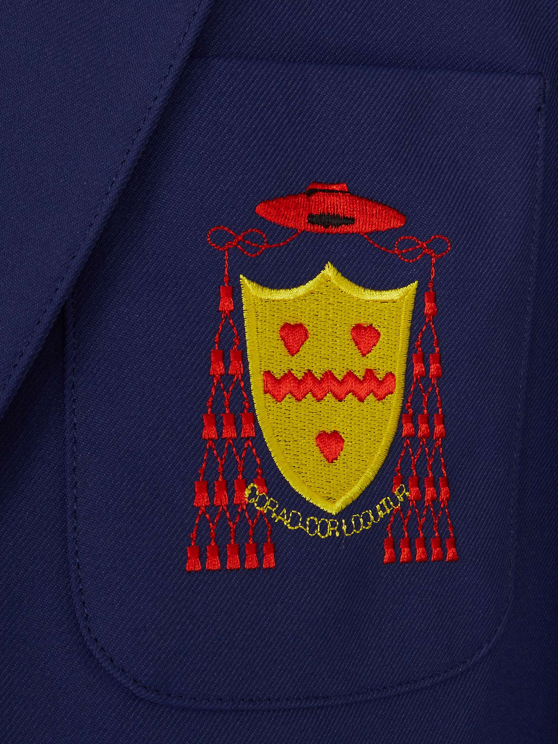 Buy The John Henry Newman Catholic School Boys' Blazer, Royal Blue Online at johnlewis.com