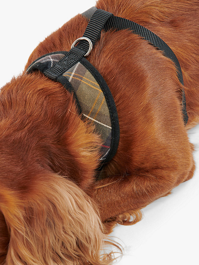 Barbour Tartan Dog Harness, Small