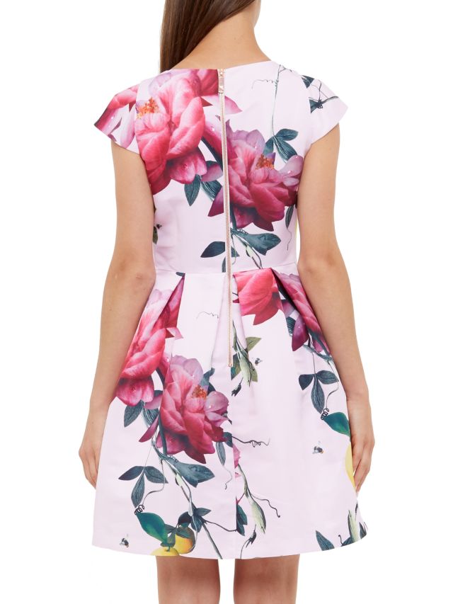 Ted baker shop citrus bloom dress